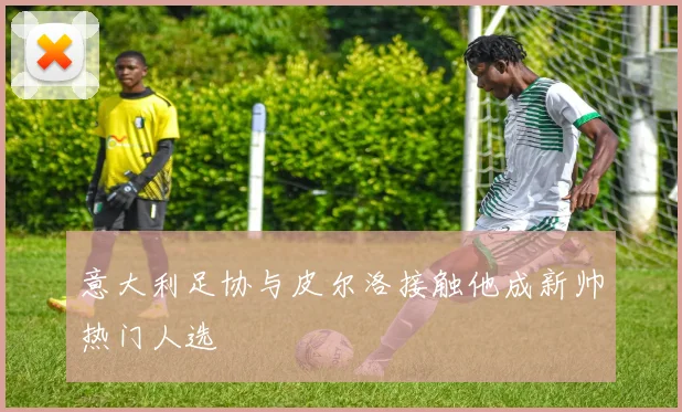 意大利足协与皮尔洛接触他成新帅热门人选