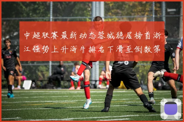 中超联赛最新动态蓉城稳居榜首浙江强势上升海牛排名下滑至倒数第三