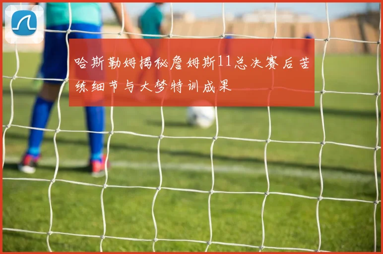 哈斯勒姆揭秘詹姆斯11总决赛后苦练细节与大梦特训成果