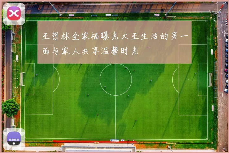 王哲林全家福曝光大王生活的另一面与家人共享温馨时光