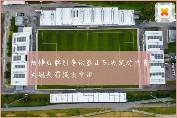 郑铮红牌引争议泰山队决定对京鲁大战判罚提出申诉